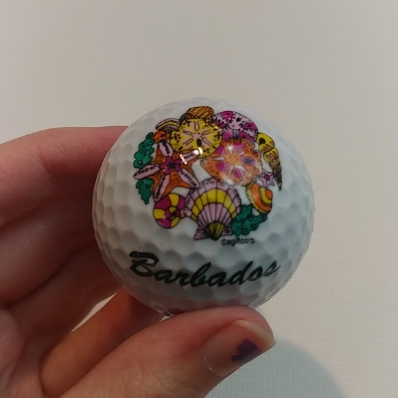 Set of 5 Collectors Golf Balls Island Patterns - Picture 6 of 7